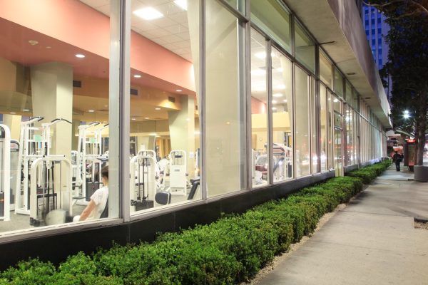 img_3937 (1)