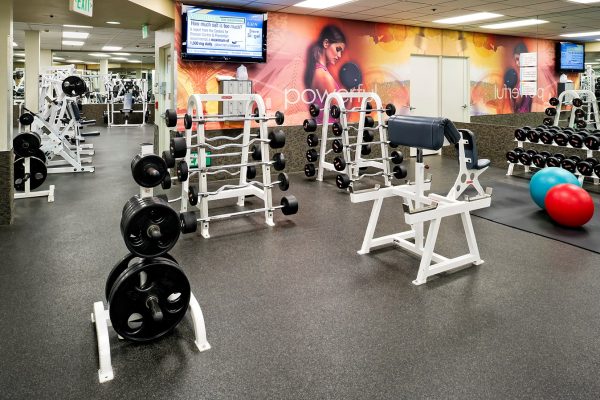 wmp_la-fit-2